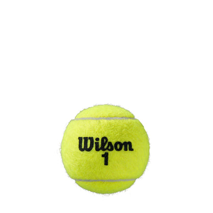 WILSON Unisex-Adult Roland Garros Official Tennis Balls, Yellow, 8 Balls