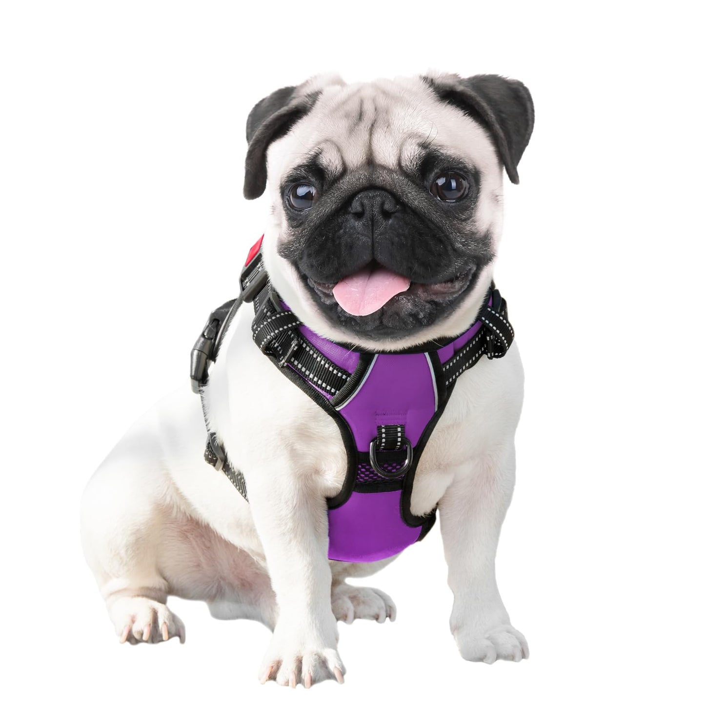 PHOEPET No Pull Dog Harness for Small Dogs, reflective, adjustable front clip vest with handle, 2 metal rings, 3 buckles [easy to put on and take off] (M, Purple)