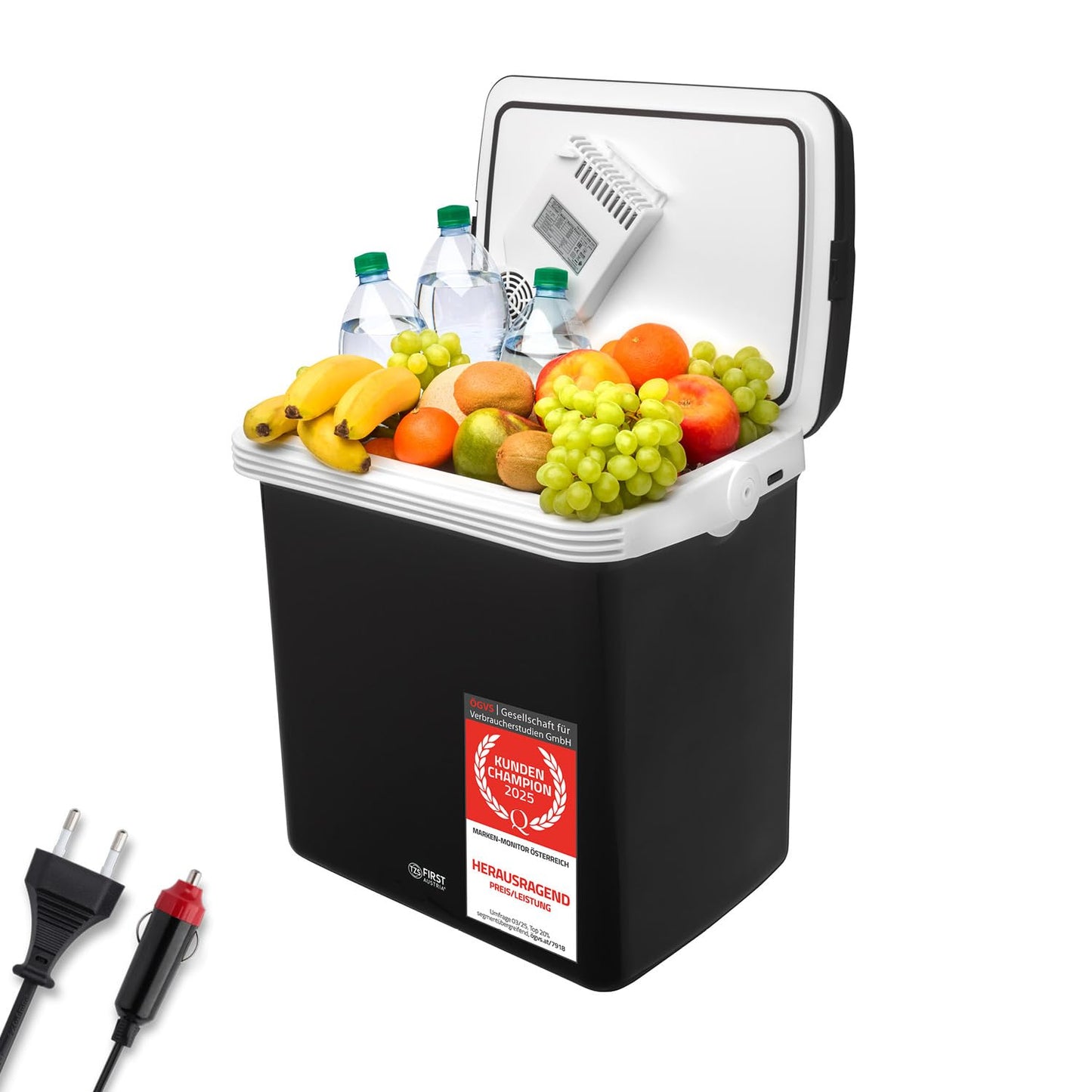 TZS First Austria - Cool box 32L electric, with 12V and 230V connection for car & outlet - Thermoelectric cool box cools & warms - Mini fridge with handle - For camping, festivals, travel - Black