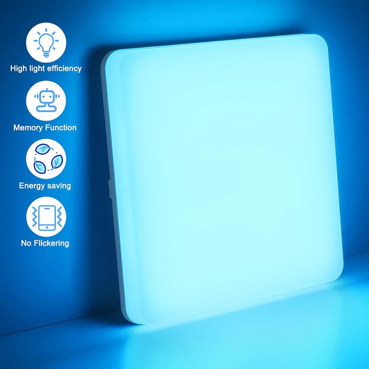 IEGLED LED ceiling light dimmable RGB color changing, 24W 2400LM LED ceiling lamp dimmable with remote control, LED bulb RGB, IP54 bathroom light living room light children's room light hallway light 28x28x4.8cm