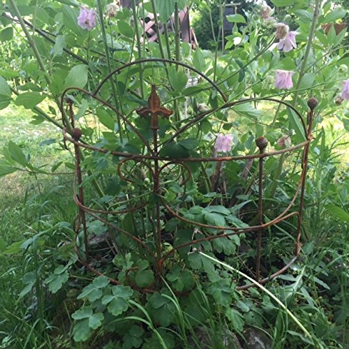 Perennial holder shrub holder close to the ground 2-piece round trellis bed metal iron rust decoration