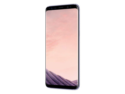 Samsung Galaxy S8 smartphone bundle (5.8 inch, 64GB internal storage) - German version