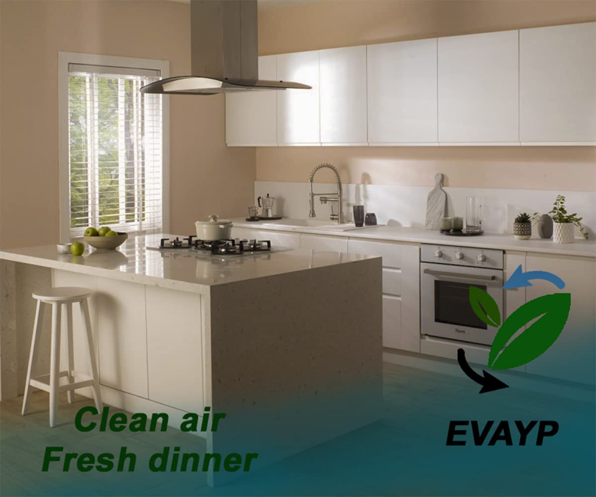 EVAYP/Carbon filter/11025806 11008216 Z54TC02X0 LZ45610 DSZ4561 Z54TS02X0/Suitable for Bosch Siemens Neff kitchen hoods, extractor hoods