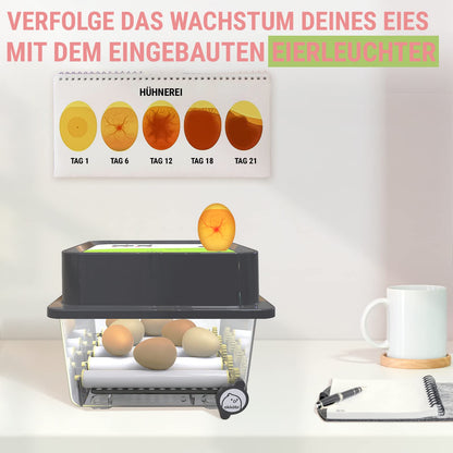 Incubator Fully Automatic 12 Eggs - Ideal for all age groups | Hatching Machine Chicken Egg Turning and Moisture Control - Integrated Eggshell + 5 Year Protection - Okköbi OBI-12