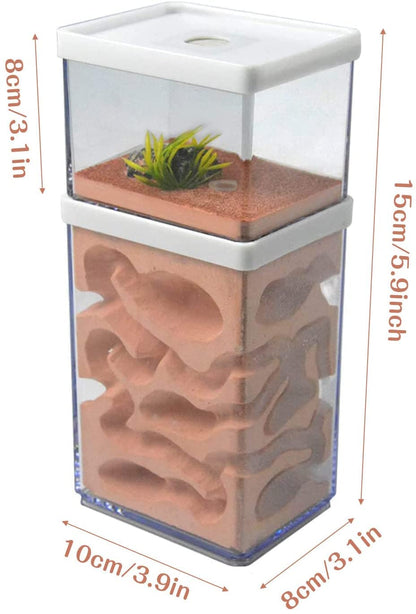 aleawol Natural Ant Farm Ant Nest Formicarium made of plaster Transparent Ant House Ant Breeding Box Ant Terrarium House Ant Farm Ant Nest Habitat