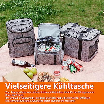 Amazon Basics backpack cooler, waterproof, lightweight, insulated, 20L capacity (30 cans), Gray