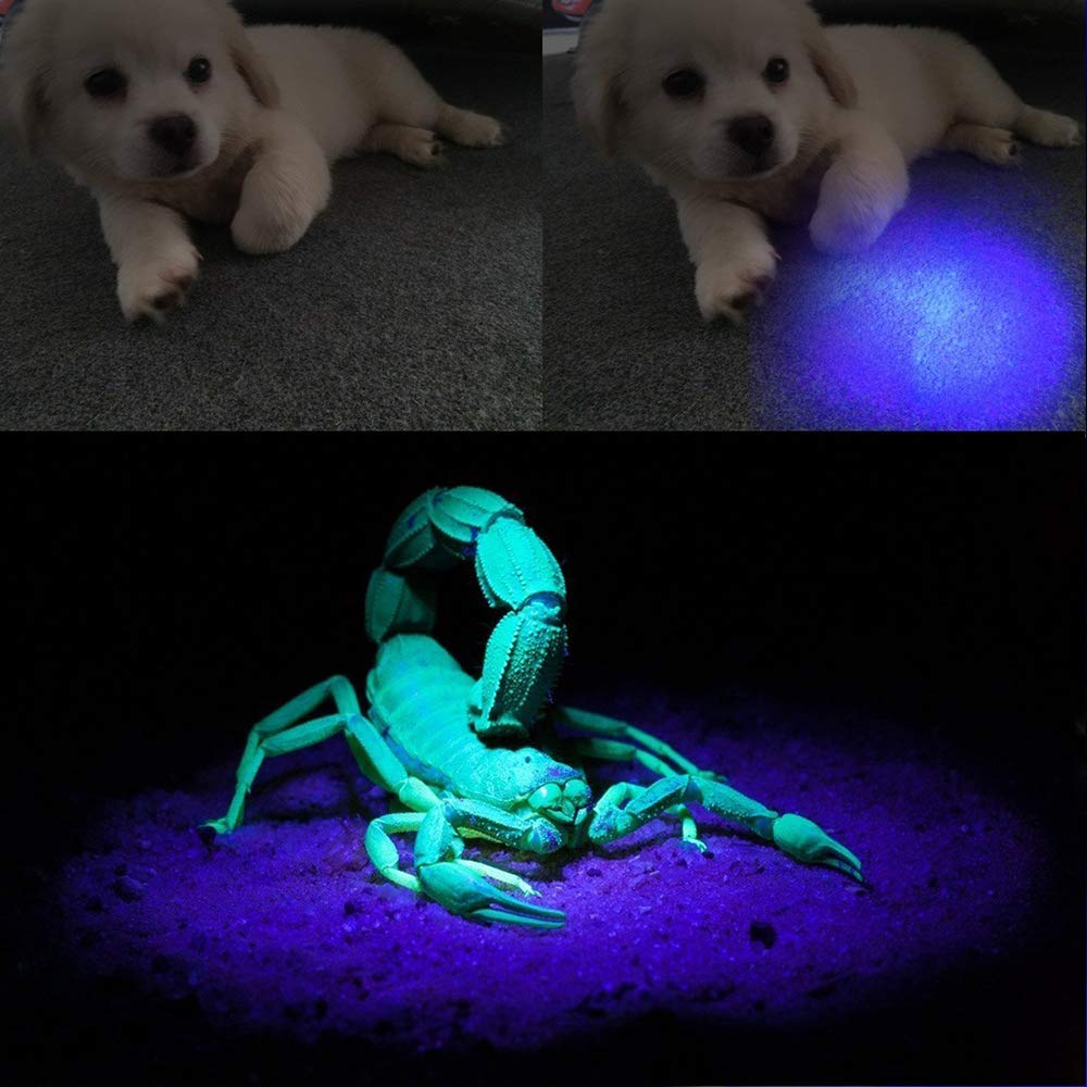 AHOME V30S UV 365nm flashlight [USB rechargeable] black light, ZWB2 filter, 3 high-performance ultraviolet LEDs, [5000mAh battery] and charging cable, for professional/commercial use.