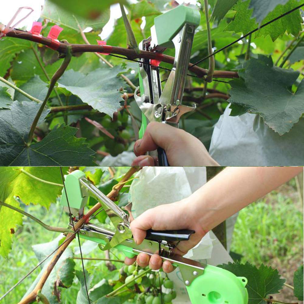Jajadeal tying tool for plants, tapetool hand tying machine for vineyard tomatoes cucumbers fruits vegetables, agricultural garden tying machine with 1 box staples and 10 rolls of tape.