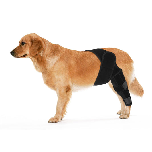 KINBOM Dog Knee Brace for Hind Leg, Dog Hind Leg Brace Dog ACL Brace Hind Leg Dog Knee Support for Dog ACL Brace Hind Leg (Black, Size L)