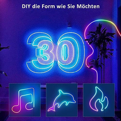 Eruibos Van LED Strip 10m, IP65 Waterproof Silicone Light Band, 24V Flexible RGB Neon LED Strip, Dimmable Rope Lights With Remote Control for DIY Home Bedroom Indoor Outdoor Decoration.