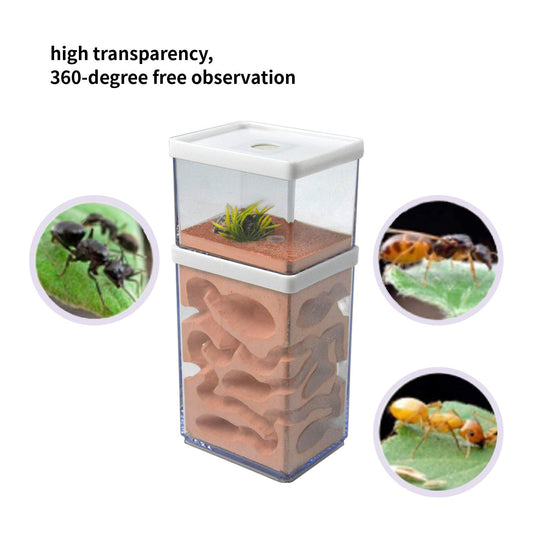 aleawol Natural Ant Farm Ant Nest Formicarium made of plaster Transparent Ant House Ant Breeding Box Ant Terrarium House Ant Farm Ant Nest Habitat