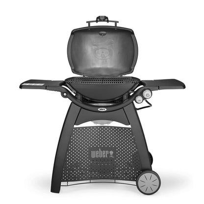 onlyfire cast iron cooking grate for Weber Q300, Q320, Q3000, Q3100, Q3200 Series Gas Grill, BBQ replacement for Weber 7646-2 Pack