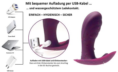 DESIRE TO GO 2 | The great bag with 2 stylish silicone Lovetoys for on the go | Butterfly vibrator with remote control + anal plug | Erotic gift box for her + him | Sex toy set for women.