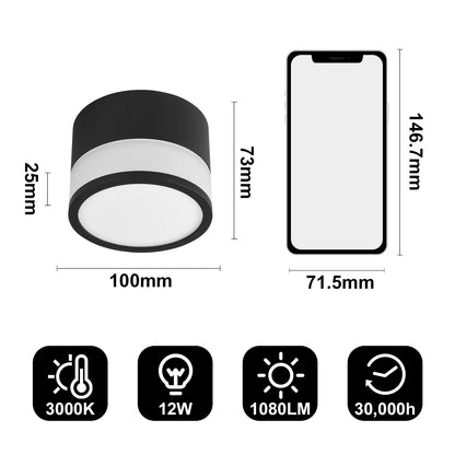Temgin IP65 Ceiling Light Surface Mount Matte Black LED 12W 3000K Warm White Ceiling Spots Aluminum 230V Ø10cm Surface-mounted luminaire Ceiling lamp Bathroom.
