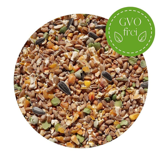 25 kg of premium chicken feed grains Plus poultry feed for chickens, geese, ducks - GMO free Chick feed