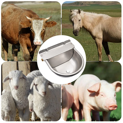 Automatic drinker basin made of stainless steel with 1/2 inch adjustable brass float valve and drainage holes for horses, cows, pigs, goats, sheep, and dog drinkers.