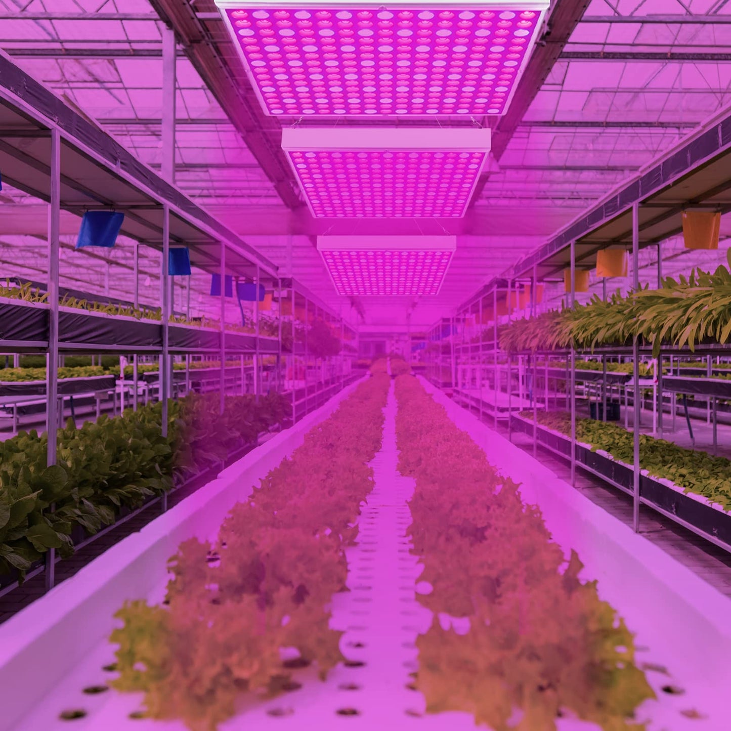 Lospitch 2X45W LED plant light, 225 red & blue LEDs grow lamp, full spectrum plant light for hydroponics, indoor seeding veg flower, grow tent, and greenhouse.