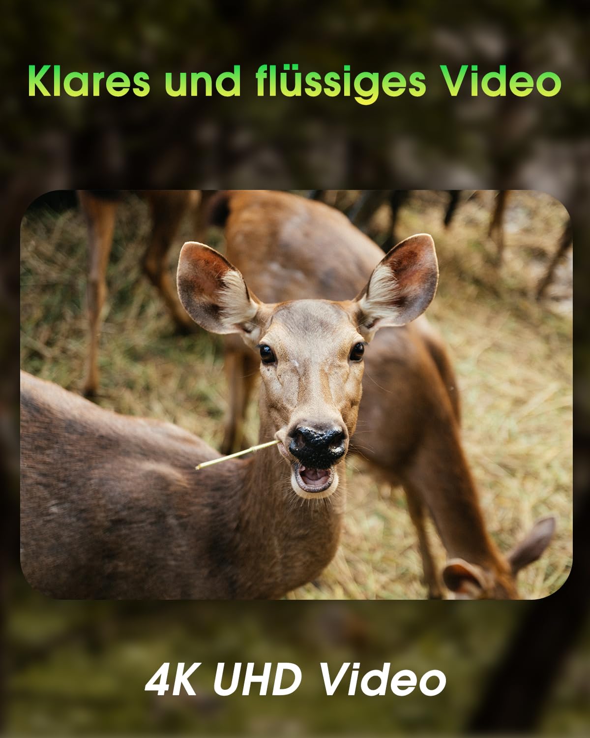 KJK wildlife camera with mobile transmission APP, 4K 64MP HD WLAN Bluetooth with 64GB memory card, motion sensor night vision camera, 0.1s trigger, IP67 waterproof, 130° wide angle