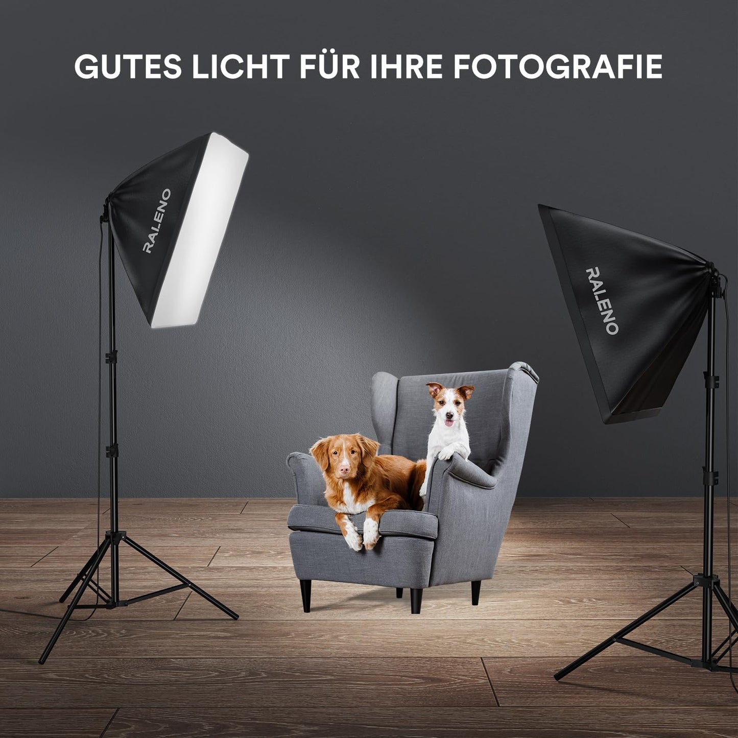 RALENO Softboxes, 2 x 50W LED Softbox Photo Studio Set, 2 x 50 x 50 cm Photo Light with 5500K Bulb and Stand for Portrait Photography, Game Streaming, YouTube Video Photography