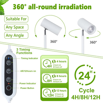Rayofly LED Full Spectrum Plant Lamp, 20W White Grow Light for indoor plants, Adjustable height LED Grow Lamp with Timer 4/8/12H, Stand Grow Light for large plants or seeds.