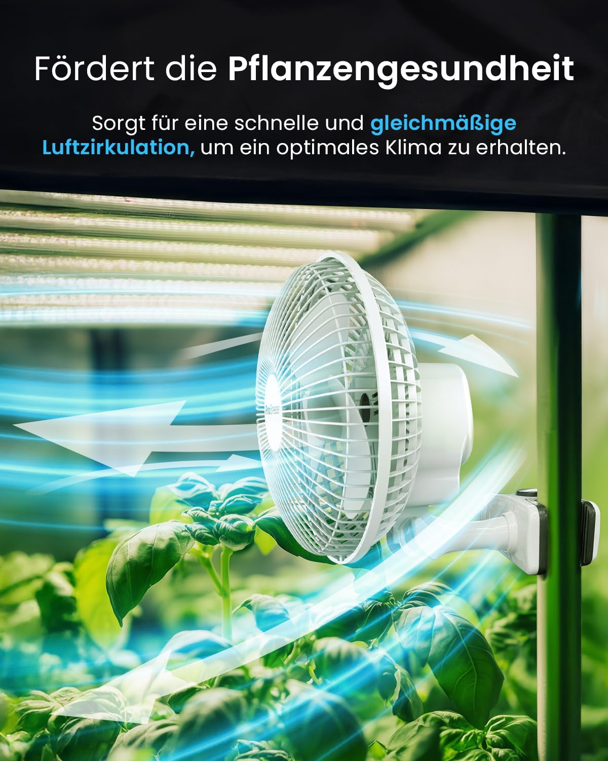 Pro Breeze Mini Fan with Clip, 20 cm diameter, 2 speed settings, sturdy clip - quiet fan, ideal as a desk fan at the office, for a grow tent, at home in the bedroom