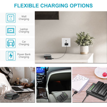NEEWER NP F550 battery charger set, compatible with Sony NP F970 F750 F770 F960 F550 F530 F330 F570 CCD SC55 TR516 TR716 TR818 TR910 TR917 NEEWER LED light/monitor/camera slider (2-pack, black).