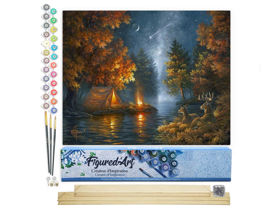 Figured'Art Paint by Numbers Adults With Frame Camping under the Starry Sky - Paint by Numbers Craft DIY Kit 40x50cm With Stretcher Frame (unstretched)