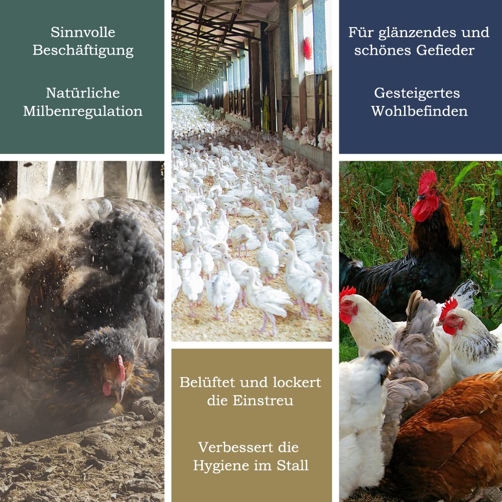 Petigi natural stone flour, poultry bedding dust sand bath, stone flour for chickens and quails, bath sand powder for chicken coop and chicken run.