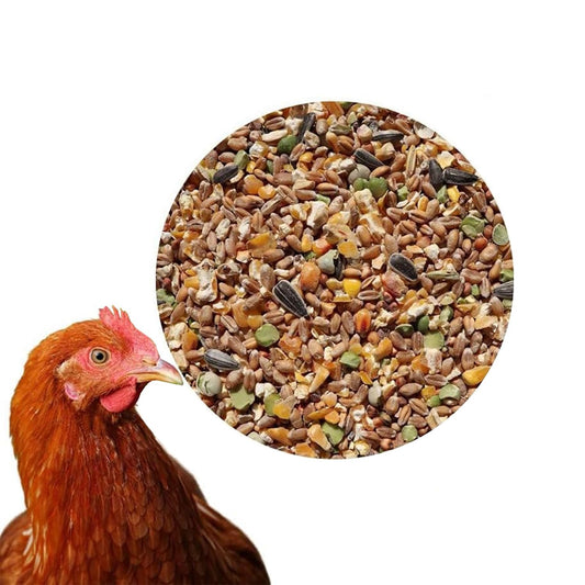 25 kg of premium chicken feed grains Plus poultry feed for chickens, geese, ducks - GMO free Chick feed