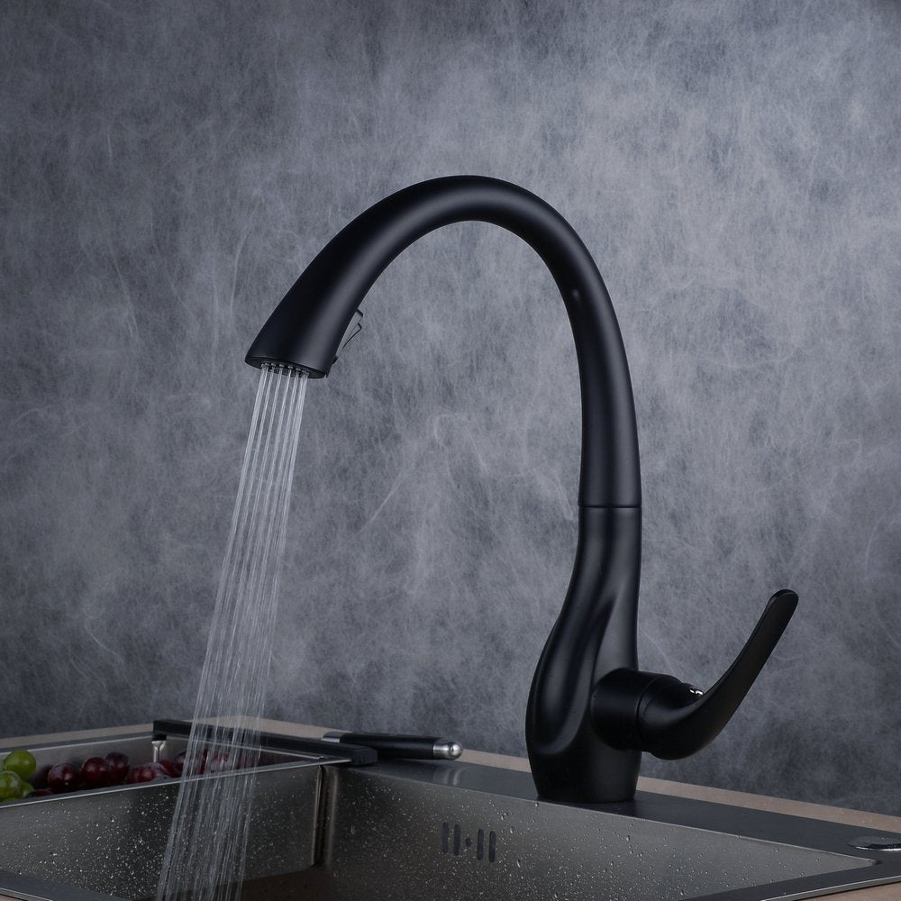 Beelee pull-out kitchen faucet with spray, single handle sink faucet, black paint, BL1749B.