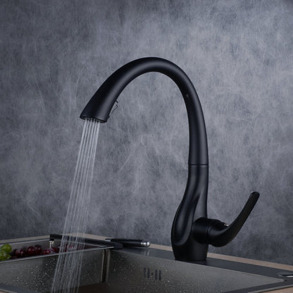 Beelee pull-out kitchen faucet with spray, single handle sink faucet, black paint, BL1749B.