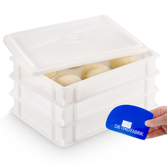 THE BOX FACTORY 3x Pizza Dough Balls Box Gusto + 1 Lid, 40x30x7 cm | Proofing Box, Dough Tray for Pizza Dough. Dough box for 6 pizza dough balls, pizza dough container (3x Gusto Box + 1x Lid)