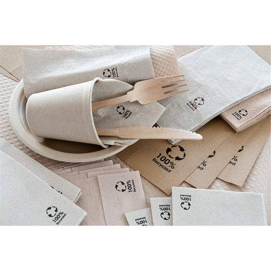 Napkins Ecolabel 2-Ply 18 g/m2 20x20 cm Natural Recycled Tissue - 4800 units.