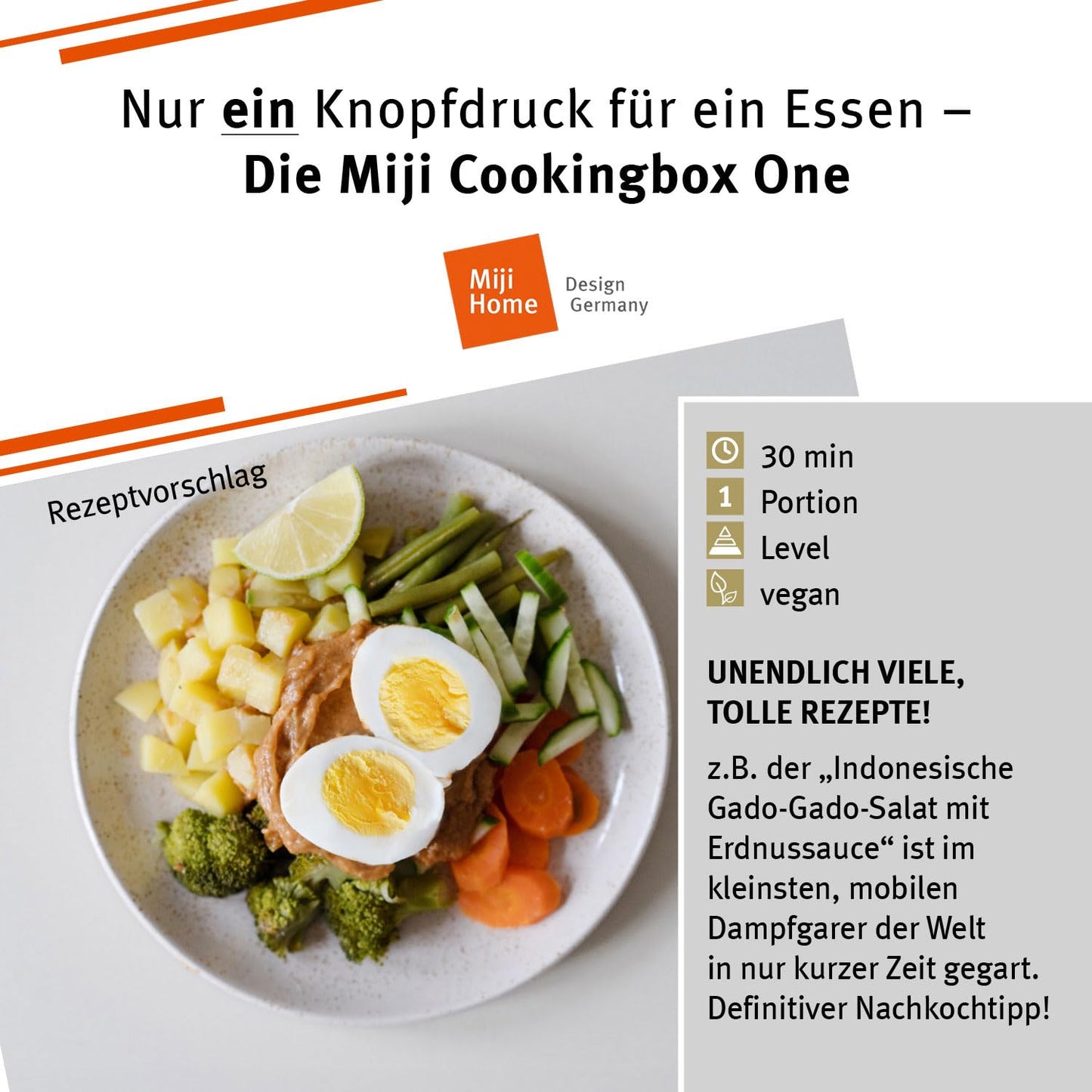 Miji Electric Lunchbox & Mini Camping Cooker 1L | 250W Steamer - quiet, odorless & compact for 1-2 servings