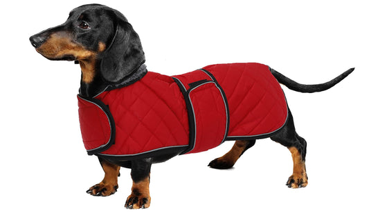 Geyecete - Warm winter coat for dachshund dogs, dog winter jackets with plush lining, outdoor jackets with adjustable belt and harness hole, for medium and small dachshunds-Red-M
