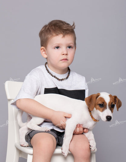 Amber Necklace Dog | Adjustable amber collar for dogs & cats with leather strap | Dog collar