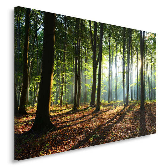 Feeby fleece canvas picture Sunbeams In The Forest 120x80 cm Wall Art Print Home Decor Living Room Apartment Decor Nature Trees Green