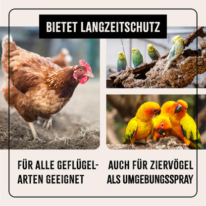 AniForte mite spray for chickens & poultry 1 liter - against mites & parasites, mite control, mite treatment as environmental spray & contact spray, for prevention & in case of acute infestation
