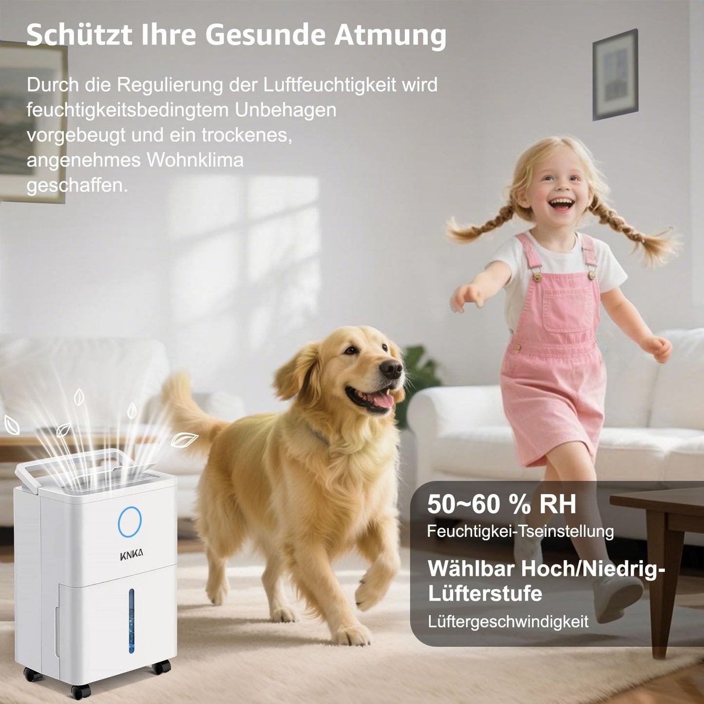 KNKA Dehumidifier, 9L/T, Quiet Electric Dehumidifier, Room Dehumidifier with Drain Hose, Removable Casters, Child Lock, 24H Timer, 60m³ (25m²), for Bedroom, Bathroom, and Laundry Room