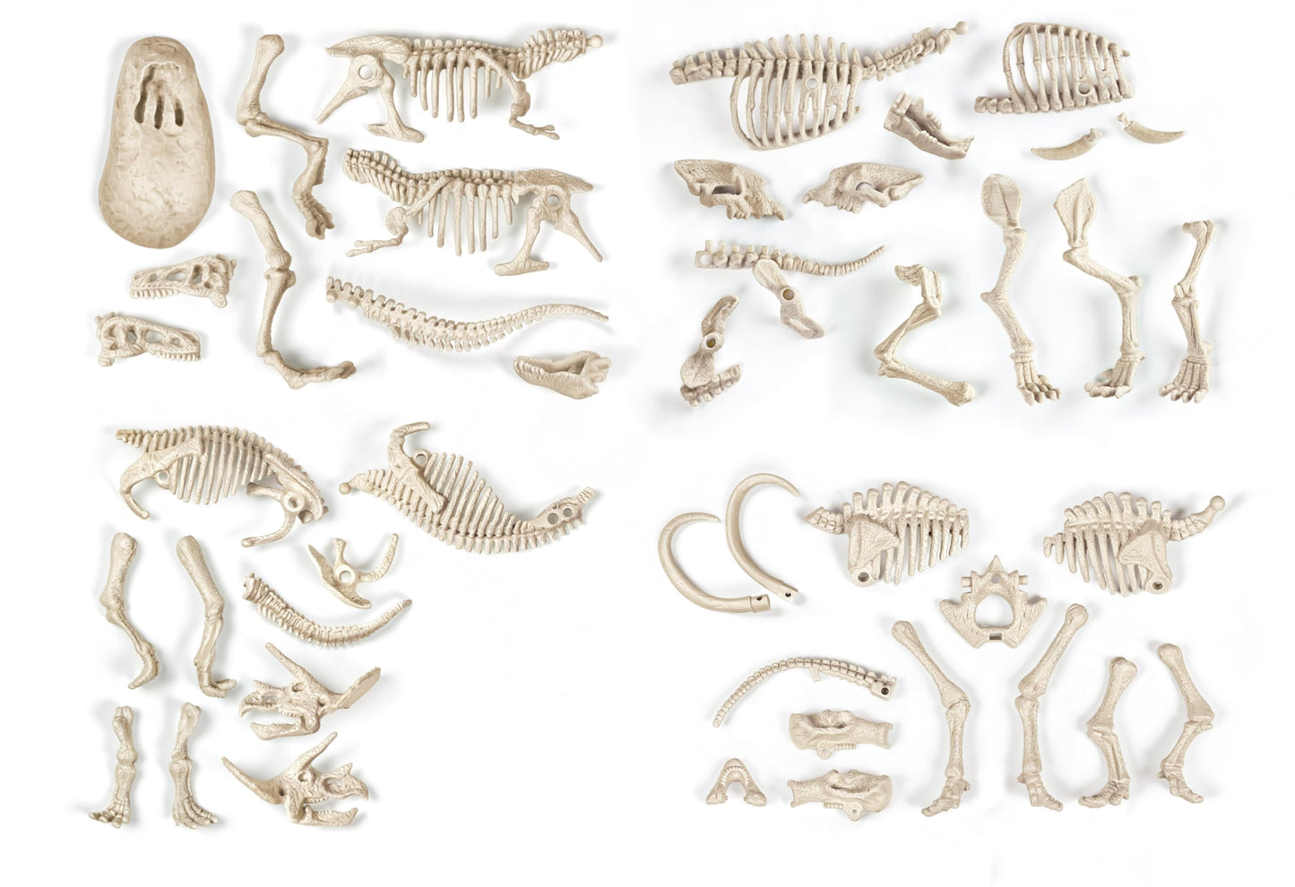 Clementoni Archeo Ludic Set - Prey and Predators Kids 7 years + | Scientific Gift | Paleontology set with glow-in-the-dark skeletons | Educational activity | Augmented Reality
