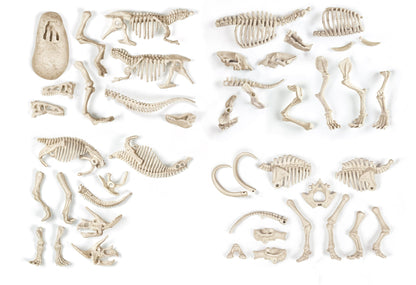 Clementoni Archeo Ludic Set - Prey and Predators Kids 7 years + | Scientific Gift | Paleontology set with glow-in-the-dark skeletons | Educational activity | Augmented Reality