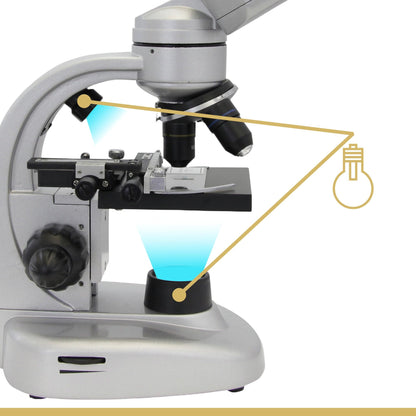 Omegon Binofield Microscope, 40x-800x, LED | Precise observations with binocular viewing | Ideal for school and hobbies | Includes extensive accessories | Incident and transmitted light microscopy
