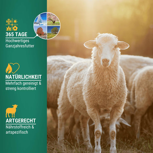 Agricultural zone sheep feed goat feed muesli 20 kg - Species-appropriate concentrated feed for sheep, goats & lambs - 100% GMO-free and dust-free - Made in Austria