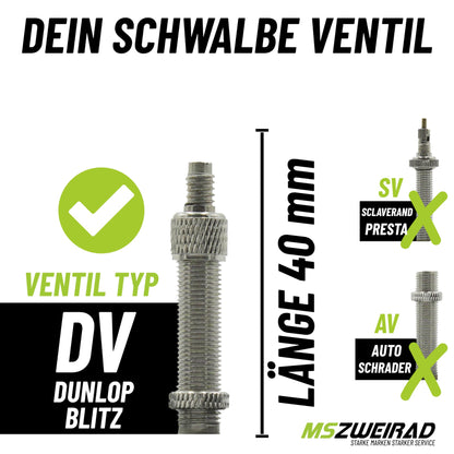 2-pack Schwalbe bicycle tube DV17 40mm 28 inches (28/47-622/635) includes 3 MSZweirad tire levers.