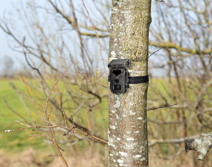 VisorTech wildlife cameras: WLAN 4K wildlife camera with solar panel, high-power no-glow LEDs, app (wildlife camera with solar, night vision, wildlife)