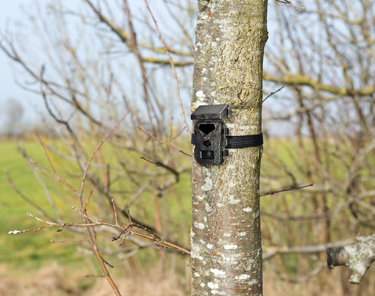VisorTech wildlife cameras: WLAN 4K wildlife camera with solar panel, high-power no-glow LEDs, app (wildlife camera with solar, night vision, wildlife)