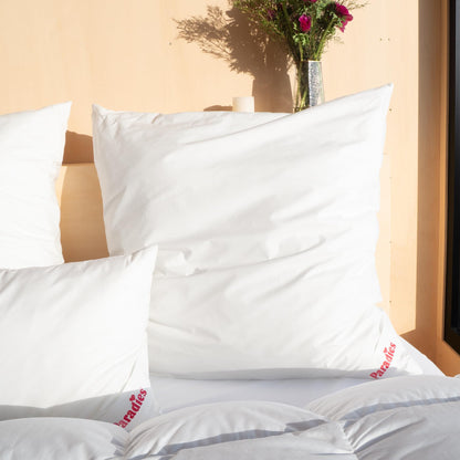 Paradise pillow 80x80 cm with zipper - Softy Top Bio medium with Aloe Vera, medium-firm sleeping pillow, vegan pillow, Öko-Tex 100 Class 1.