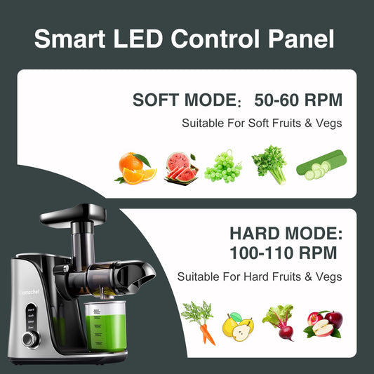 AMZCHEF Slow Juicer Vegetable and Fruit Juicer - 2 Speed Settings & High Juice Yield - Easy Disassembly with Reverse Function - Electric Juicer with Quiet Motor - Gray
