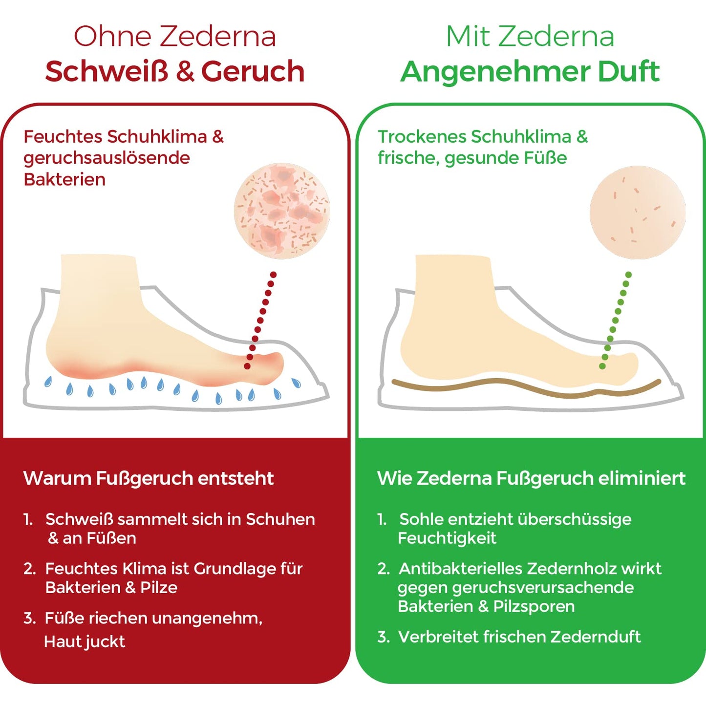 Zederna® 3 pairs of cedar wood shoe insoles for sweaty feet, insoles for men & women against foot odor. Inserts for men & women, insoles anti sweat. Like a shoe deodorant, better than foot fungus cream.