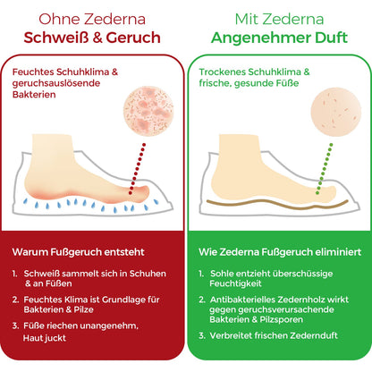 Zederna® 3 pairs of cedar wood shoe insoles for sweaty feet, insoles for men & women against foot odor. Inserts for men & women, insoles anti sweat. Like a shoe deodorant, better than foot fungus cream.